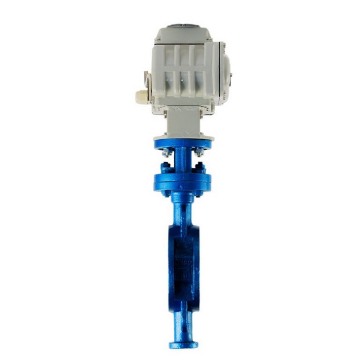 電動(dòng)硬密封蝶閥D973H